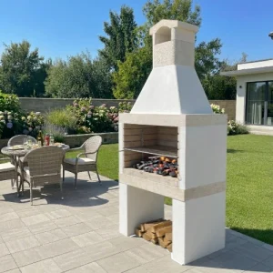 BARBECUE A LEGNA REX 95